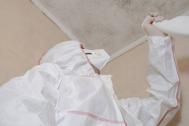 Best Toxic Mold Removal  in North Lakeport, CA